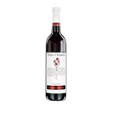 Víno z Kobylí Cabernet Moravia