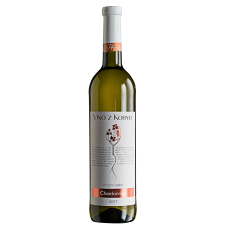 Víno z Kobylí Chardonnay pozdní sběr 2023 Víno z Kobylí - Pravda o lidech a zemi