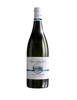 Víno z Kobylí Sauvignon 2020 K8S