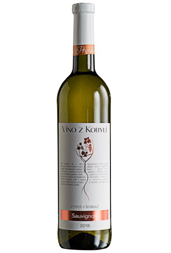 Sauvignon Víno z Kobylí - Pravda o lidech a zemi