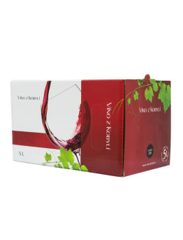 Víno z Kobylí Rulandské modré Bag in box 5l