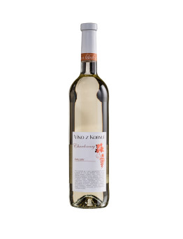 Víno z Kobylí Chardonnay Gallery 