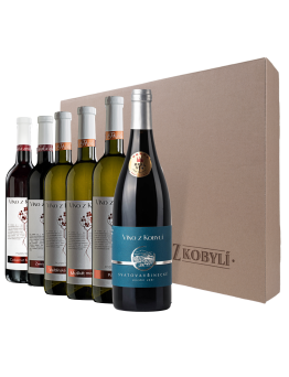 Víno z Kobylí DÁRKOVÁ SADA OCENĚNÝCH VÍN 