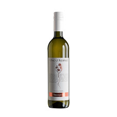 Víno z Kobylí Sauvignon 