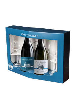 Víno z Kobylí Bílé duo se sklenkami 